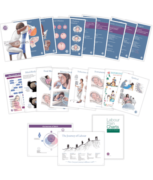 Childbirth Technical Charts-Teaching Aids-Birth Supplies Canada