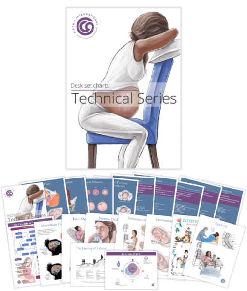 Childbirth Technical Charts-Teaching Aids-Birth Supplies Canada