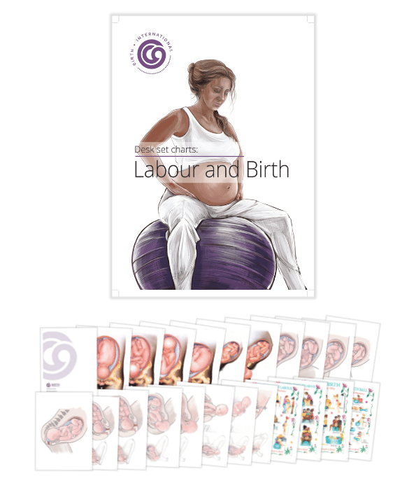 Labour & Birth Charts-Teaching Aids-Birth Supplies Canada